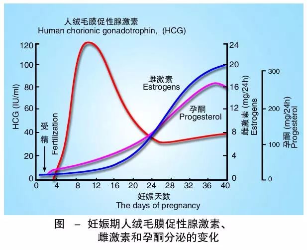 懷孕期間HCG低怎么辦？